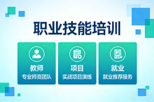 职业技能培训